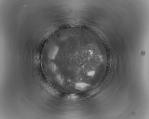 X0000091700610200709141101