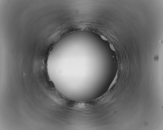 X0000091700611200709141101