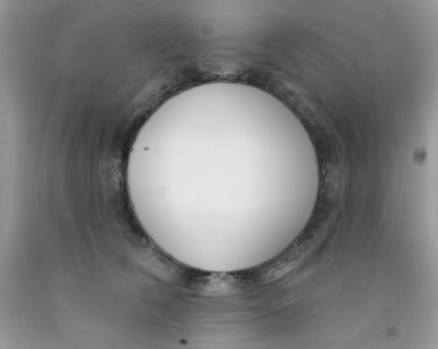 X0000091700612200709141101