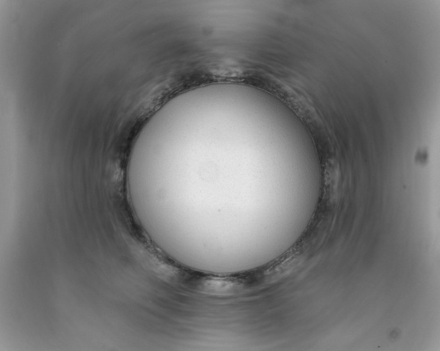 X0000091700614200709141101