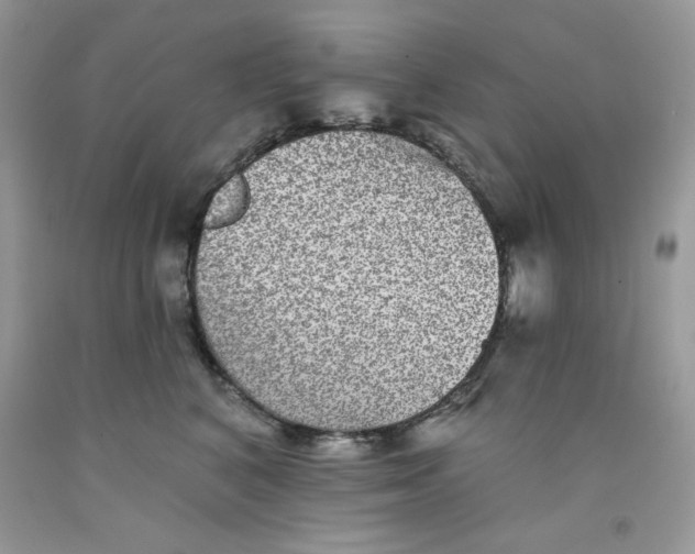 X0000091700616200709141101