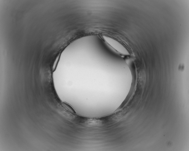 X0000091700617200709141101