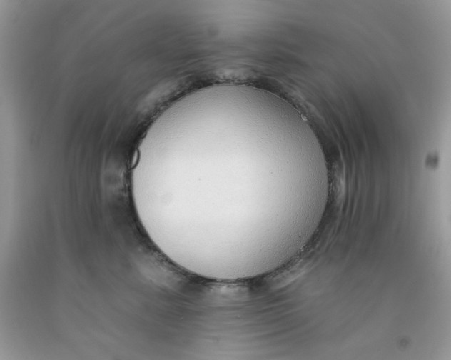 X0000091700619200709141101