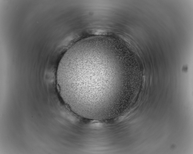 X0000091700620200709141101