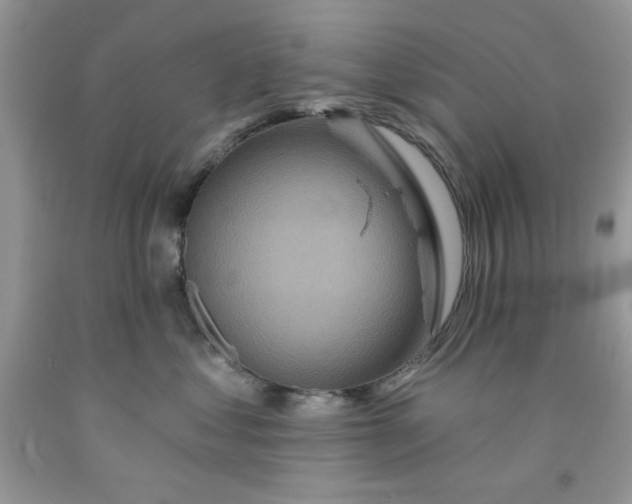 X0000091700621200709141101