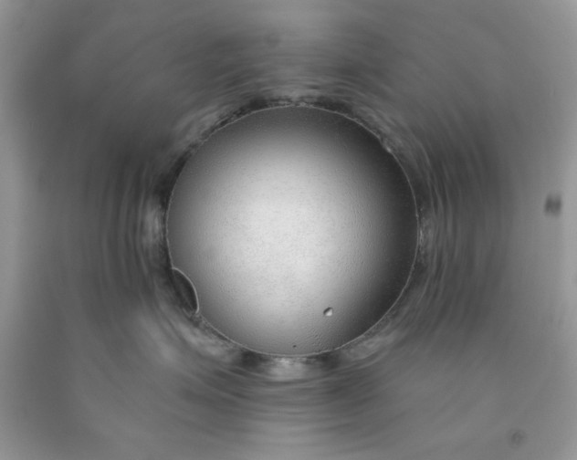 X0000091700623200709141101