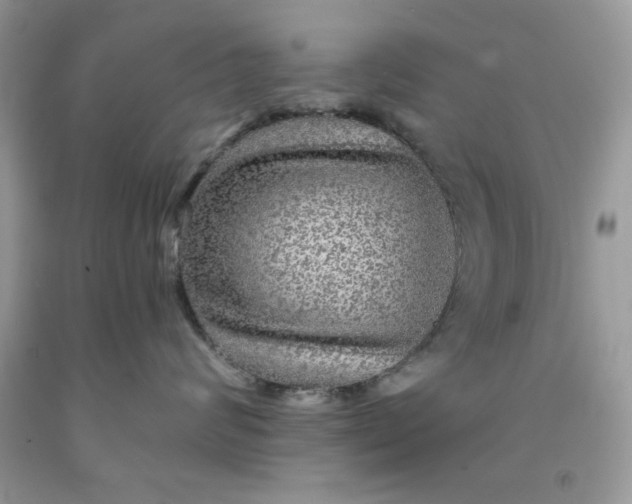 X0000091700624200709141101