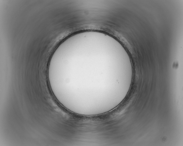 X0000091700625200709141100