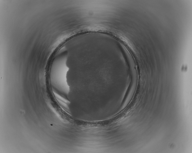 X0000091700626200709141100