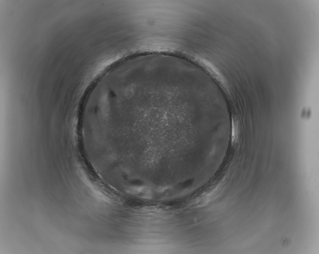 X0000091700627200709141100