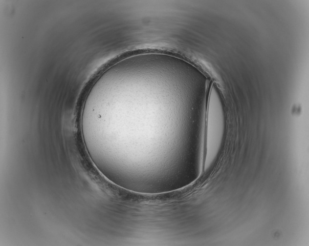 X0000091700628200709141100