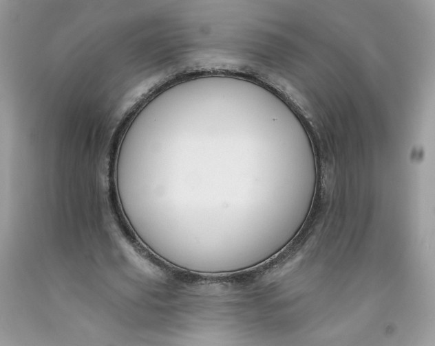 X0000091700629200709141100