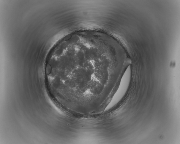 X0000091700630200709141100