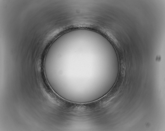 X0000091700631200709141100