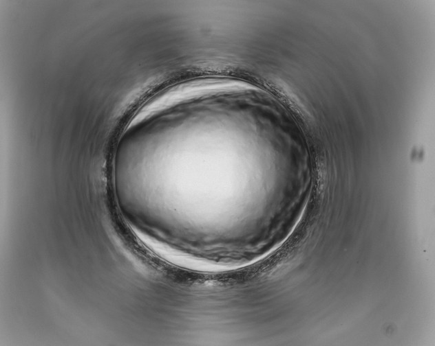 X0000091700634200709141100