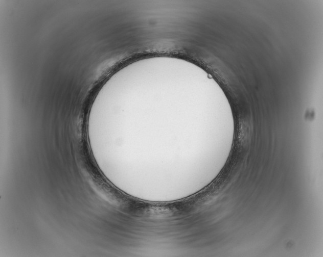 X0000091700636200709141100