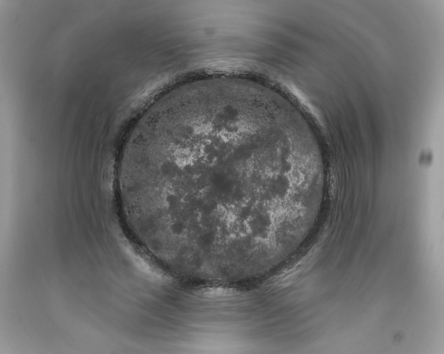 X0000091700637200709141100