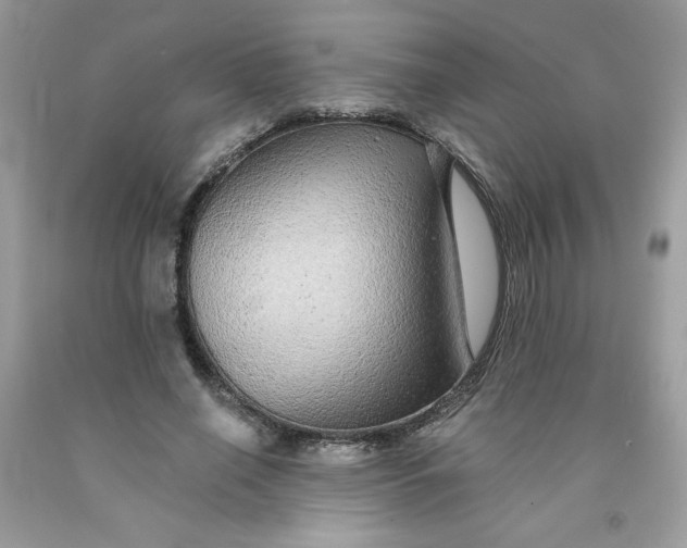 X0000091700638200709141100