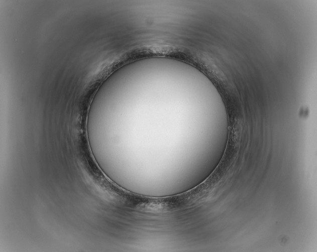 X0000091700639200709141100