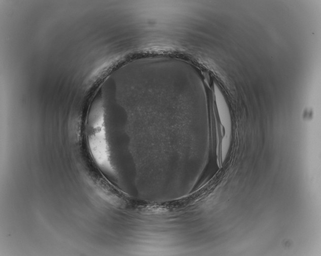 X0000091700640200709141100