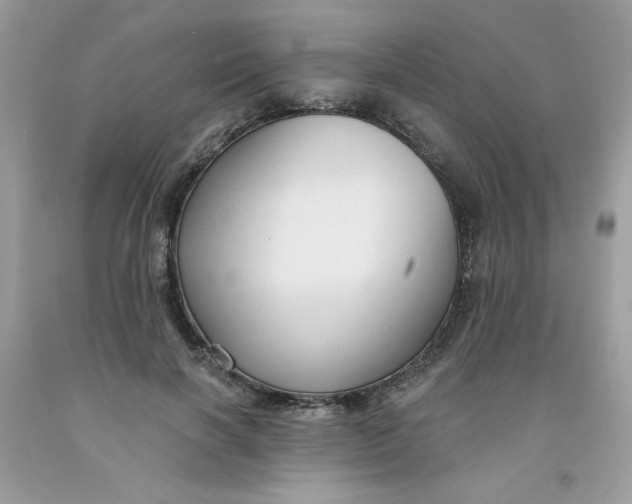 X0000091700646200709141100