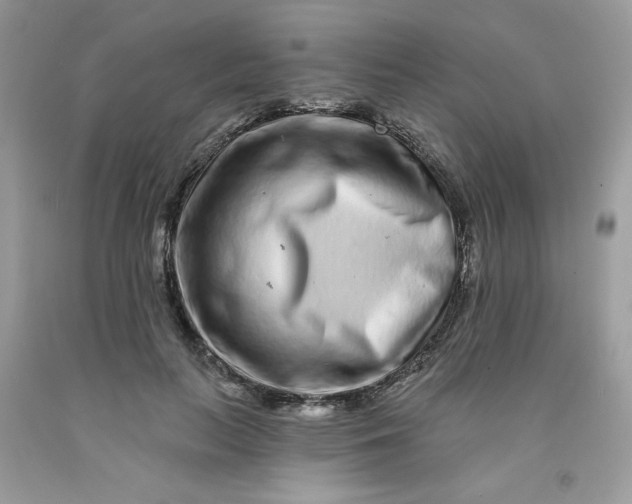 X0000091700647200709141100