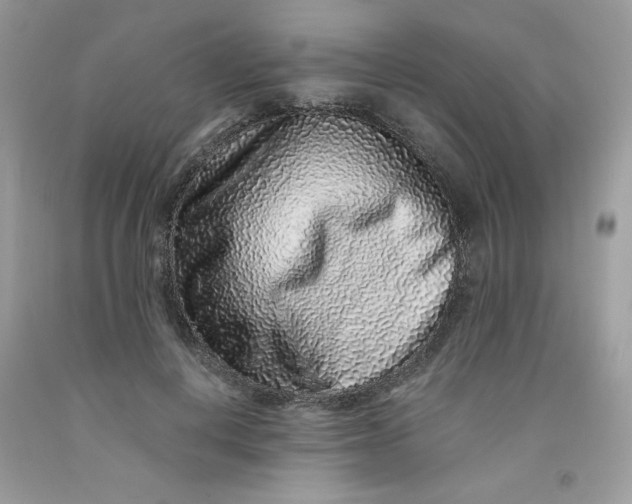 X0000091700648200709141100