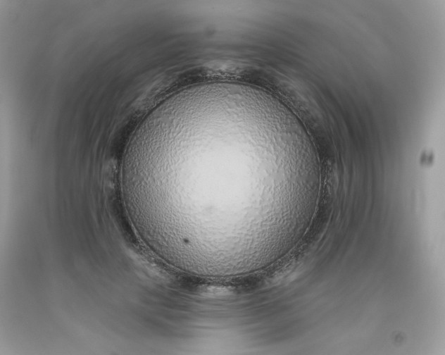 X0000091700649200709141100