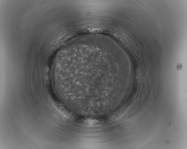 X0000091700650200709141100