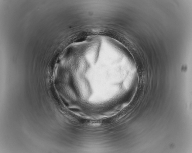 X0000091700651200709141100