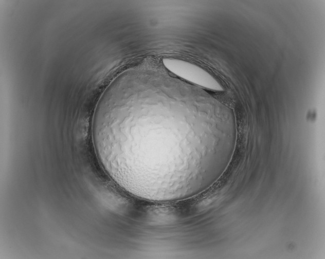 X0000091700652200709141100