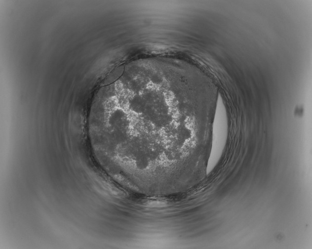 X0000091700653200709141100