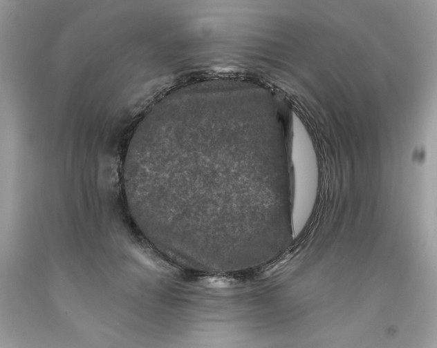 X0000091700654200709141100