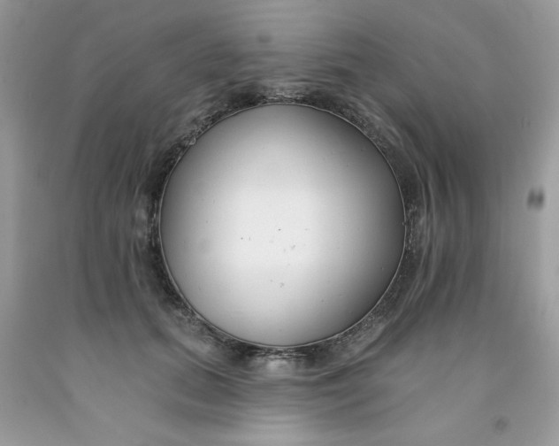 X0000091700655200709141100