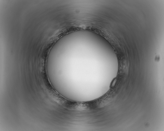 X0000091700656200709141100