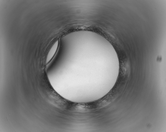 X0000091700657200709141100