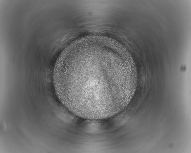 X0000091700658200709141100