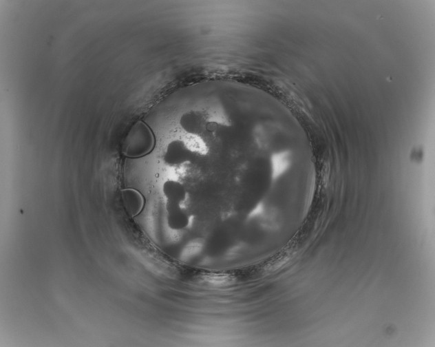 X0000091700659200709141100