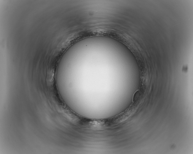 X0000091700660200709141100