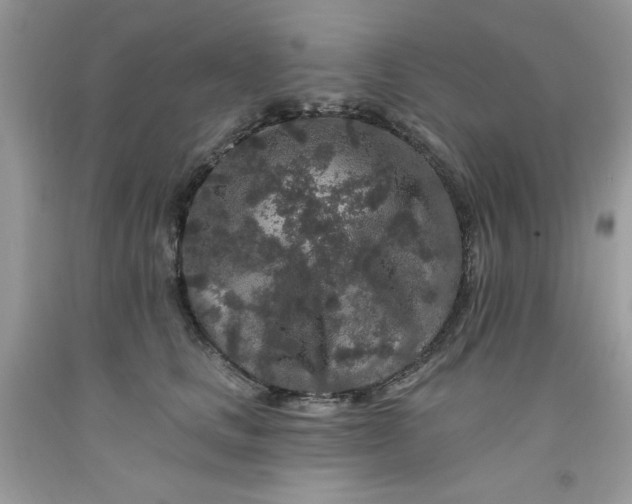 X0000091700661200709141100