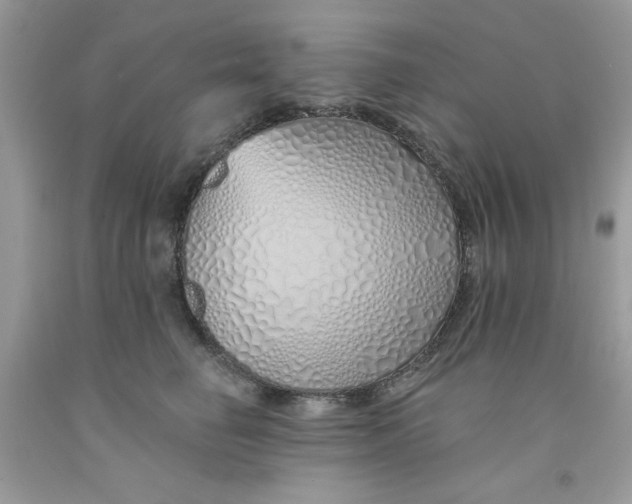 X0000091700662200709141100