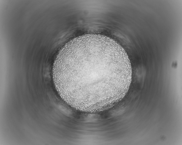 X0000091700663200709141100