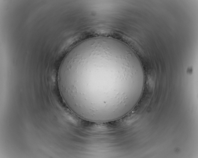 X0000091700668200709141101