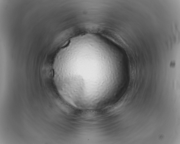 X0000091700671200709141101