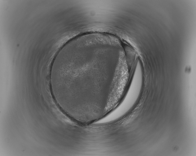 X0000091700673200709141100