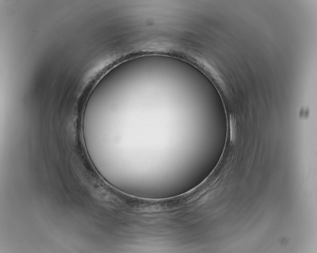 X0000091700675200709141100