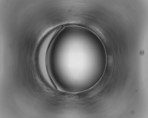 X0000091700676200709141100