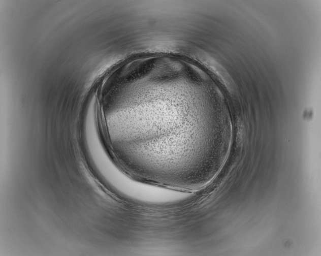 X0000091700677200709141100