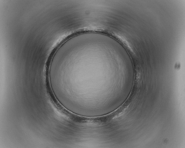 X0000091700678200709141100