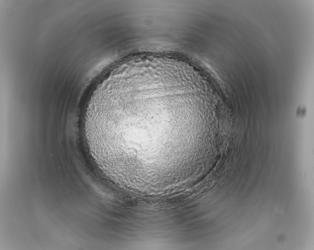 X0000091700679200709141100